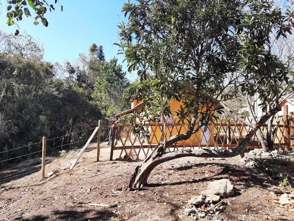 Villa Casa Kiiro, Um Ambiente Tranquilo E De Sossego. Santo Antônio do Pinhal Exterior foto