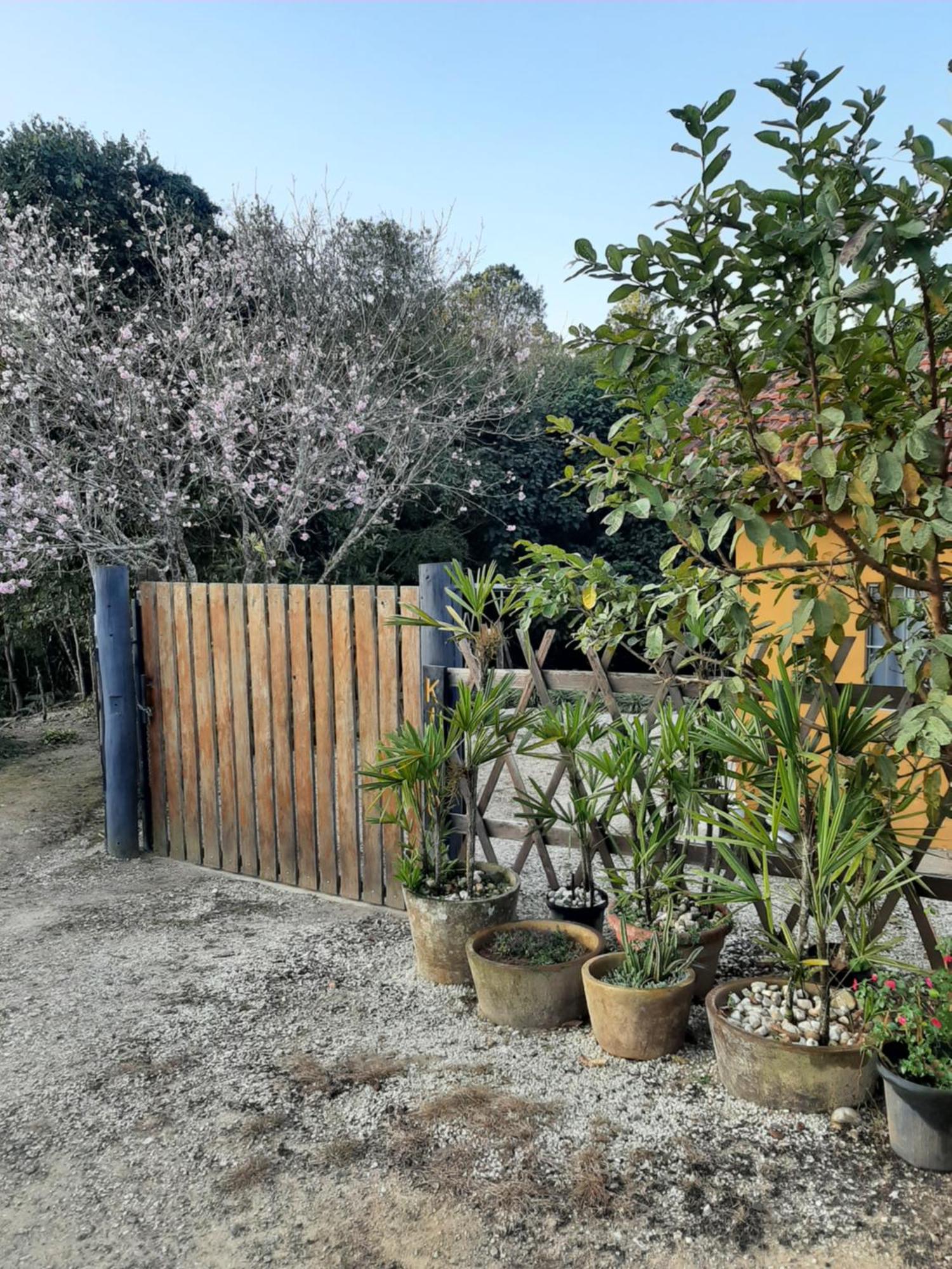 Villa Casa Kiiro, Um Ambiente Tranquilo E De Sossego. Santo Antônio do Pinhal Exterior foto