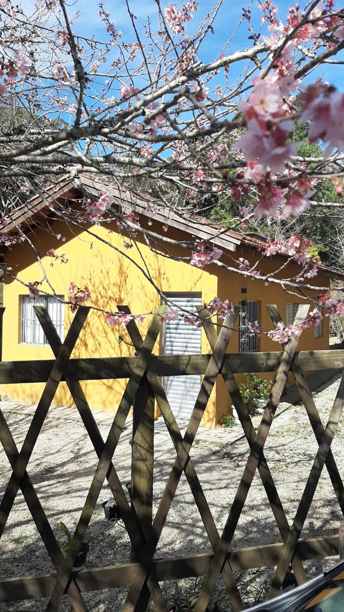 Villa Casa Kiiro, Um Ambiente Tranquilo E De Sossego. Santo Antônio do Pinhal Exterior foto